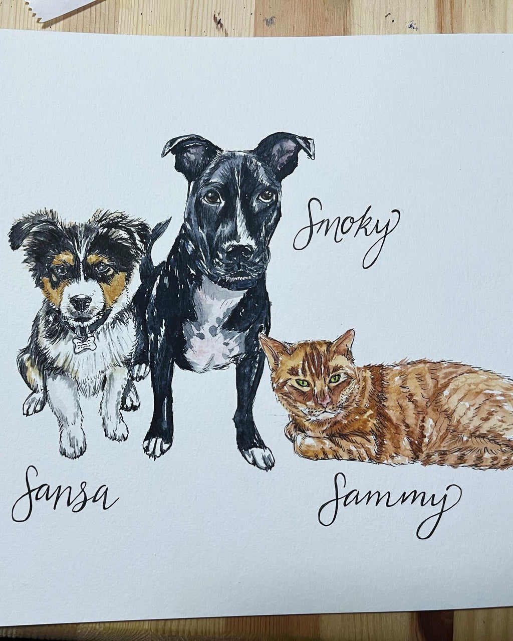 Custom Pet Portrait