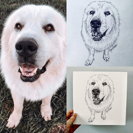 Custom Pet Portrait